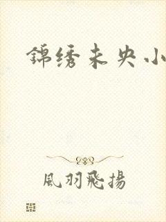 锦绣未央小说封面