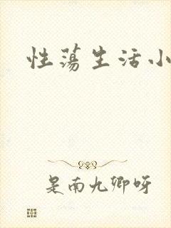 性荡生活小说封面