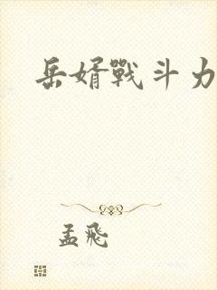 岳婿战斗力