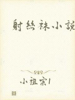 射丝袜小说