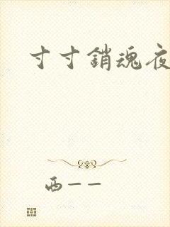 寸寸销魂夜春光