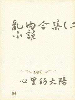 乱肉合集(二)小说封面