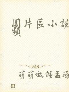 图片区小说区视频封面