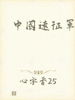 中国远征军小说