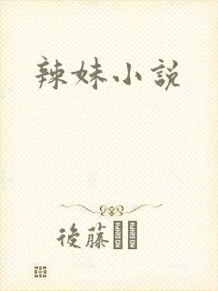 辣妹小说封面