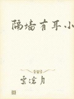 隔墙有耳小说