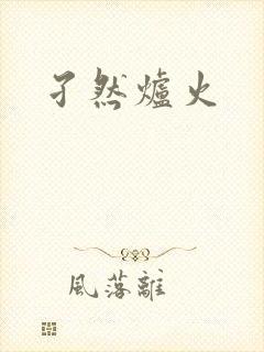 孑然炉火