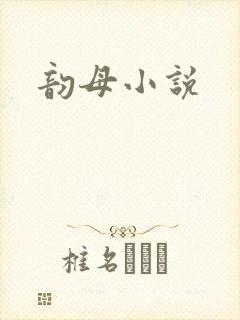 韵母小说