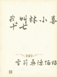 我叫林小喜今年十七封面