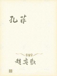 孔菲封面