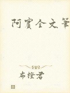 阿宾全文笔趣阁