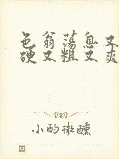 色翁荡息又大又硬又粗又爽电影