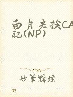 白月光挨CAO记(NP)