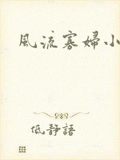 风流寡妇小说