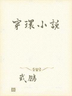 穿环小说