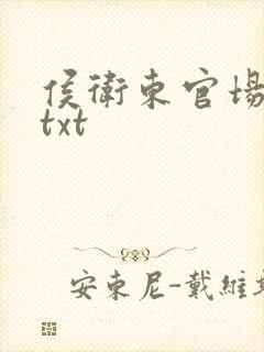 侯卫东官场笔记txt封面