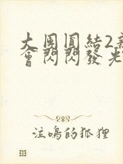大团圆结2亲情会闪闪发光目录