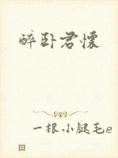 醉卧君怀
