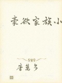 豪欲家族小说封面