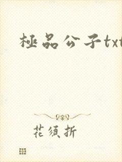 极品公子txt
