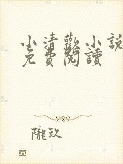 小清欢小说全文免费阅读封面