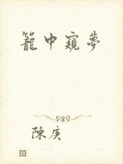 笼中窥梦