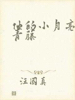他的小月亮by青藤