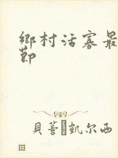 乡村活寡最新章节