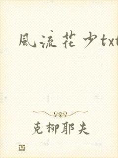 风流花少txt封面