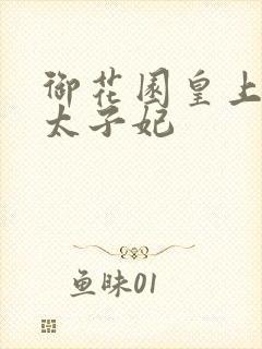 御花园皇上撞着太子妃