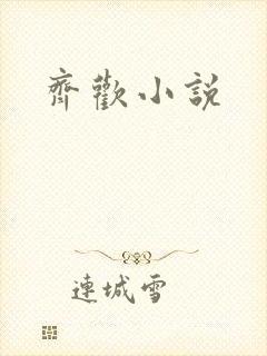 齐欢小说封面