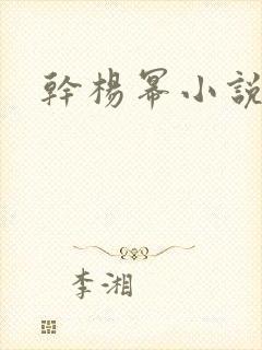 干杨幂小说
