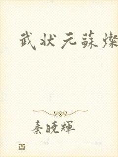 武状元苏灿