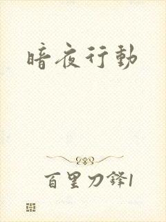 暗夜行动