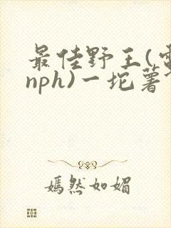 最佳野王(电竞nph)一坨薯饼封面