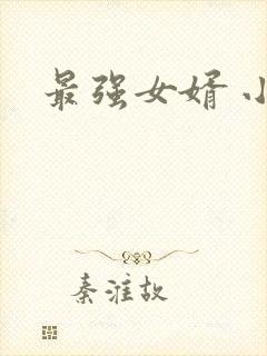 最强女婿 小说
