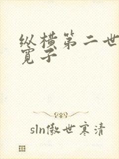 纵横第二世界 宽子