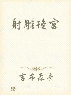 射雕后宫封面