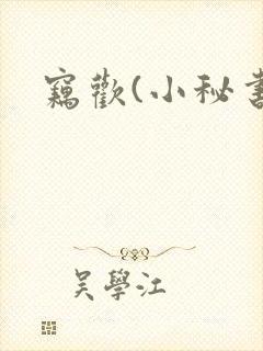 窃欢(小秘书)