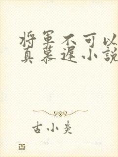 将军不可以魏云真慕迟小说笔趣阁