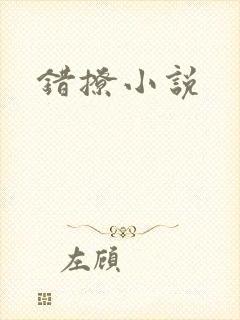 错撩小说封面