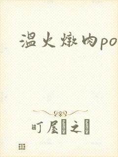 温火炖肉pop