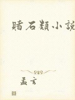 赌石类小说