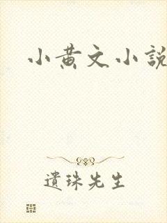 小黄文小说封面