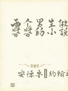 两个男生做酿酿酱酱的小说封面