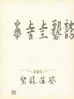 皇上上朝被迫坐带有玉势的龙椅