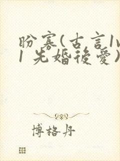 盼寡(古言1v1 先婚后爱)封面