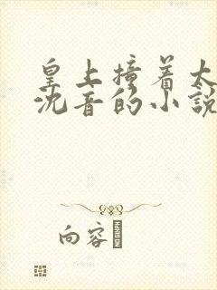 皇上撞着太子妃沈音的小说叫什么封面
