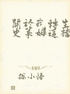 关于我转生变成史莱姆这档事小说