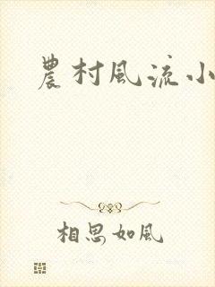 农村风流小说封面